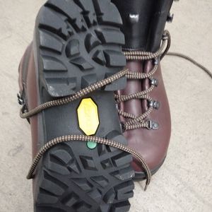 Scarpa Hiking boots
